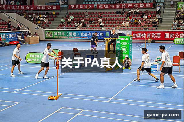 关于PA真人